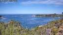 ./images/calvert/foggy-cove/20260911/foggy-cove20260911_114001M.jpg