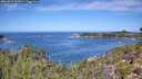 ./images/calvert/foggy-cove/20260911/foggy-cove20260911_114502M.jpg