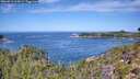./images/calvert/foggy-cove/20260911/foggy-cove20260911_115002M.jpg