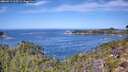./images/calvert/foggy-cove/20260911/foggy-cove20260911_115502M.jpg