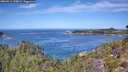 ./images/calvert/foggy-cove/20260911/foggy-cove20260911_120002M.jpg