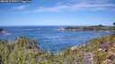 ./images/calvert/foggy-cove/20260911/foggy-cove20260911_120501M.jpg