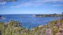 ./images/calvert/foggy-cove/20260911/foggy-cove20260911_122001M.jpg