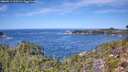 ./images/calvert/foggy-cove/20260911/foggy-cove20260911_122501M.jpg