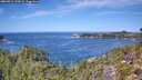 ./images/calvert/foggy-cove/20260911/foggy-cove20260911_123001M.jpg