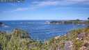 ./images/calvert/foggy-cove/20260911/foggy-cove20260911_123501M.jpg