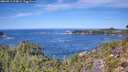 ./images/calvert/foggy-cove/20260911/foggy-cove20260911_124001M.jpg