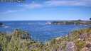 ./images/calvert/foggy-cove/20260911/foggy-cove20260911_124501M.jpg