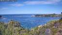 ./images/calvert/foggy-cove/20260911/foggy-cove20260911_125001M.jpg