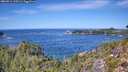 ./images/calvert/foggy-cove/20260911/foggy-cove20260911_125501M.jpg