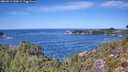 ./images/calvert/foggy-cove/20260911/foggy-cove20260911_130002M.jpg