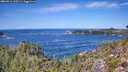 ./images/calvert/foggy-cove/20260911/foggy-cove20260911_130501M.jpg
