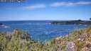 ./images/calvert/foggy-cove/20260911/foggy-cove20260911_131002M.jpg