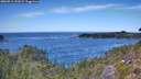 ./images/calvert/foggy-cove/20260911/foggy-cove20260911_132001M.jpg