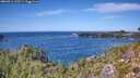 ./images/calvert/foggy-cove/20260911/foggy-cove20260911_133501M.jpg