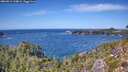 ./images/calvert/foggy-cove/20260911/foggy-cove20260911_134001M.jpg
