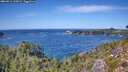 ./images/calvert/foggy-cove/20260911/foggy-cove20260911_134501M.jpg