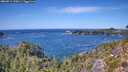 ./images/calvert/foggy-cove/20260911/foggy-cove20260911_135001M.jpg