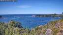 ./images/calvert/foggy-cove/20260911/foggy-cove20260911_140502M.jpg
