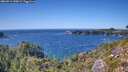 ./images/calvert/foggy-cove/20260911/foggy-cove20260911_150001M.jpg