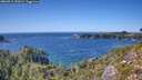 ./images/calvert/foggy-cove/20260911/foggy-cove20260911_151001M.jpg