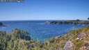 ./images/calvert/foggy-cove/20260911/foggy-cove20260911_151502M.jpg