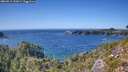 ./images/calvert/foggy-cove/20260911/foggy-cove20260911_152001M.jpg