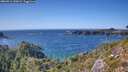 ./images/calvert/foggy-cove/20260911/foggy-cove20260911_155001M.jpg