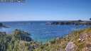 ./images/calvert/foggy-cove/20260911/foggy-cove20260911_160001M.jpg
