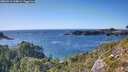 ./images/calvert/foggy-cove/20260911/foggy-cove20260911_164001M.jpg