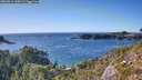 ./images/calvert/foggy-cove/20260911/foggy-cove20260911_164501M.jpg