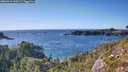 ./images/calvert/foggy-cove/20260911/foggy-cove20260911_165001M.jpg