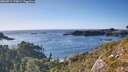 ./images/calvert/foggy-cove/20260911/foggy-cove20260911_173001M.jpg