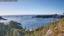 ./images/calvert/foggy-cove/20260911/foggy-cove20260911_173501M.jpg