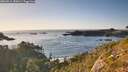 ./images/calvert/foggy-cove/20260911/foggy-cove20260911_182001M.jpg