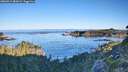 ./images/calvert/foggy-cove/20260912/foggy-cove20260912_082001M.jpg