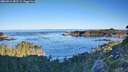 ./images/calvert/foggy-cove/20260912/foggy-cove20260912_082501M.jpg