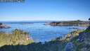 ./images/calvert/foggy-cove/20260912/foggy-cove20260912_090001M.jpg
