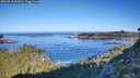 ./images/calvert/foggy-cove/20260912/foggy-cove20260912_092002M.jpg