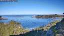 ./images/calvert/foggy-cove/20260912/foggy-cove20260912_093001M.jpg