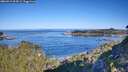 ./images/calvert/foggy-cove/20260912/foggy-cove20260912_094502M.jpg