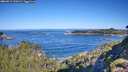 ./images/calvert/foggy-cove/20260912/foggy-cove20260912_100501M.jpg