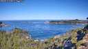 ./images/calvert/foggy-cove/20260912/foggy-cove20260912_103001M.jpg