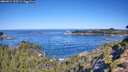 ./images/calvert/foggy-cove/20260912/foggy-cove20260912_103501M.jpg
