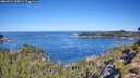 ./images/calvert/foggy-cove/20260912/foggy-cove20260912_105001M.jpg