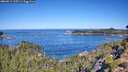 ./images/calvert/foggy-cove/20260912/foggy-cove20260912_105501M.jpg