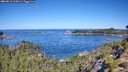 ./images/calvert/foggy-cove/20260912/foggy-cove20260912_110001M.jpg