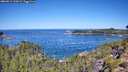 ./images/calvert/foggy-cove/20260912/foggy-cove20260912_112001M.jpg