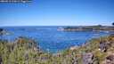 ./images/calvert/foggy-cove/20260912/foggy-cove20260912_113002M.jpg