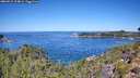 ./images/calvert/foggy-cove/20260912/foggy-cove20260912_114001M.jpg